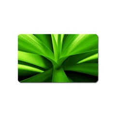 Yucca Palm  Magnet (name Card) by Siebenhuehner