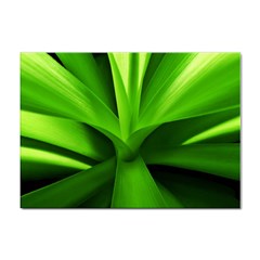 Yucca Palm  A4 Sticker 100 Pack by Siebenhuehner