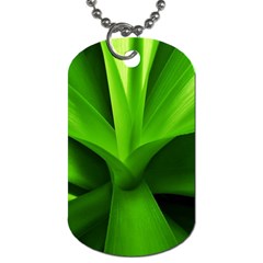 Yucca Palm  Dog Tag (two-sided)  by Siebenhuehner