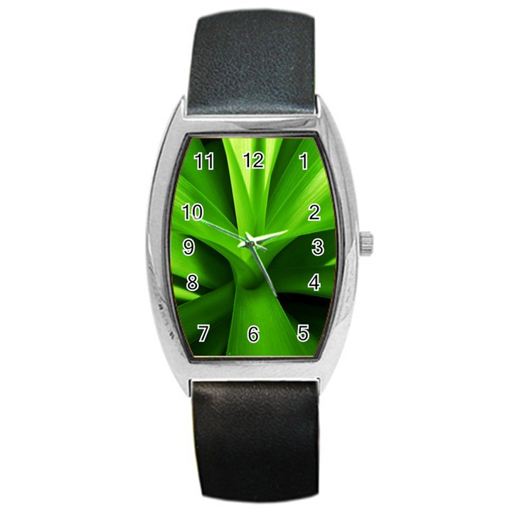 Yucca Palm  Tonneau Leather Watch