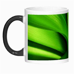 Yucca Palm  Morph Mug by Siebenhuehner