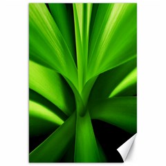 Yucca Palm  Canvas 20  X 30  (unframed) by Siebenhuehner