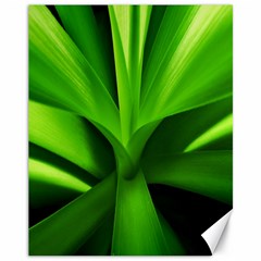 Yucca Palm  Canvas 11  X 14  (unframed) by Siebenhuehner