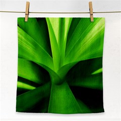 Yucca Palm  Face Towel by Siebenhuehner