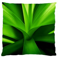 Yucca Palm  Large Cushion Case (single Sided)  by Siebenhuehner