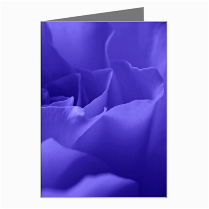 Rose Greeting Card