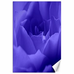 Rose Canvas 20  X 30  (unframed) by Siebenhuehner