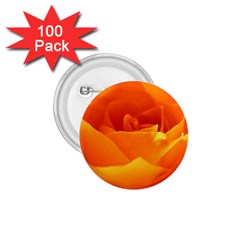 Rose 1 75  Button (100 Pack) by Siebenhuehner