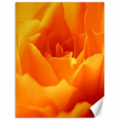 Rose Canvas 18  X 24  (unframed) by Siebenhuehner