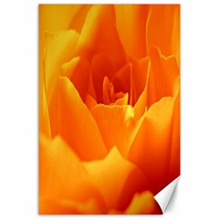 Rose Canvas 24  X 36  (unframed) by Siebenhuehner