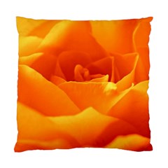 Rose Cushion Case (two Sided)  by Siebenhuehner