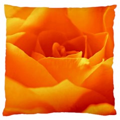 Rose Large Cushion Case (two Sided)  by Siebenhuehner