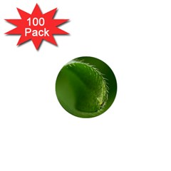 Leaf 1  Mini Button (100 Pack) by Siebenhuehner