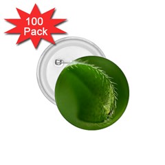 Leaf 1 75  Button (100 Pack) by Siebenhuehner