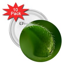 Leaf 2 25  Button (10 Pack) by Siebenhuehner