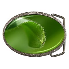 Leaf Belt Buckle (oval) by Siebenhuehner