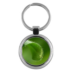 Leaf Key Chain (round) by Siebenhuehner