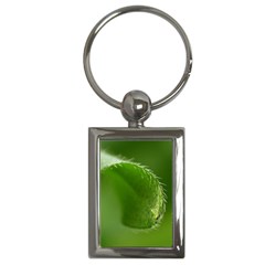 Leaf Key Chain (rectangle) by Siebenhuehner