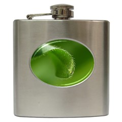 Leaf Hip Flask by Siebenhuehner