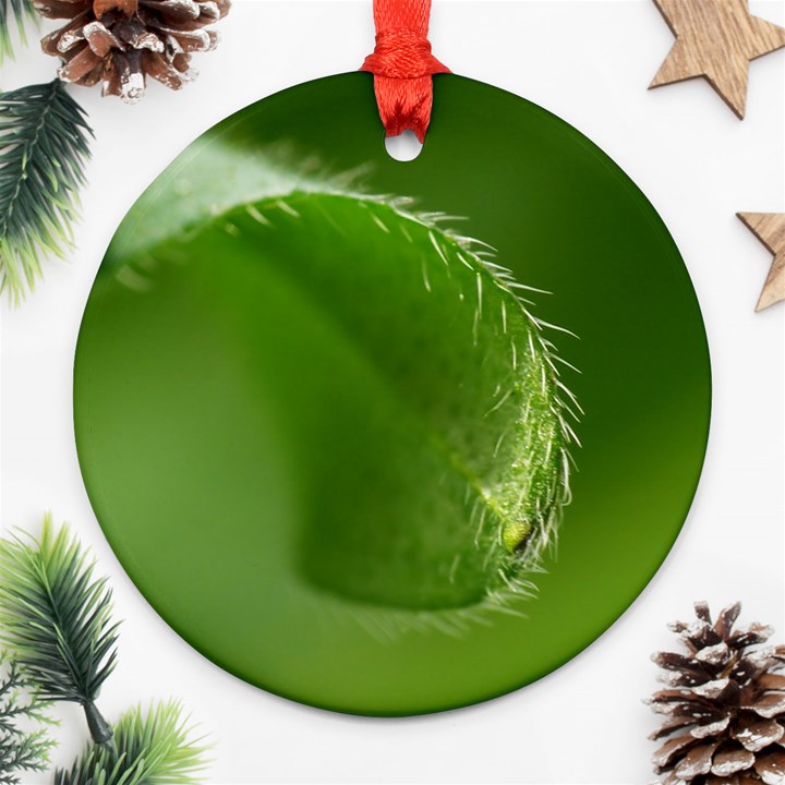 Leaf Round Ornament (Two Sides)