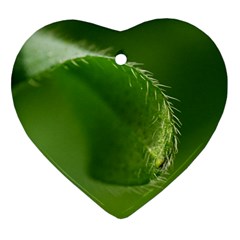 Leaf Heart Ornament (two Sides) by Siebenhuehner