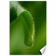 Leaf Canvas 12  X 18  (unframed) by Siebenhuehner