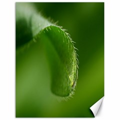 Leaf Canvas 18  X 24  (unframed) by Siebenhuehner