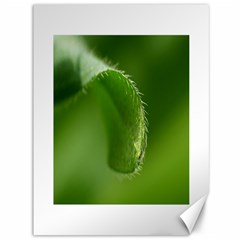 Leaf Canvas 36  X 48  (unframed) by Siebenhuehner