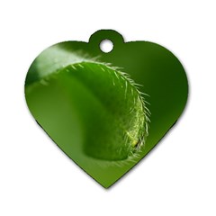 Leaf Dog Tag Heart (one Sided)  by Siebenhuehner