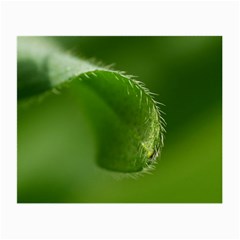 Leaf Glasses Cloth (small, Two Sided) by Siebenhuehner