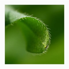 Leaf Glasses Cloth (medium) by Siebenhuehner