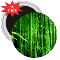 Bamboo 3  Button Magnet (10 Pack) by Siebenhuehner