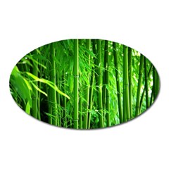 Bamboo Magnet (oval) by Siebenhuehner