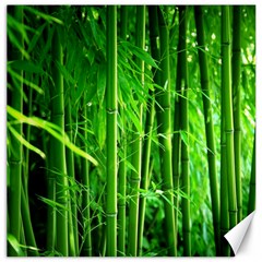 Bamboo Canvas 20  X 20  (unframed) by Siebenhuehner