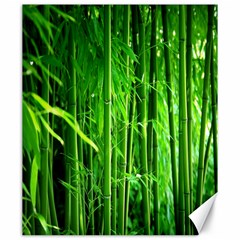 Bamboo Canvas 20  X 24  (unframed) by Siebenhuehner