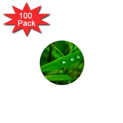 Bamboo Leaf With Drops 1  Mini Button (100 Pack) by Siebenhuehner