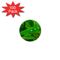 Bamboo Leaf With Drops 1  Mini Button Magnet (100 Pack) by Siebenhuehner