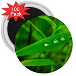 Bamboo Leaf With Drops 3  Button Magnet (100 pack) Front