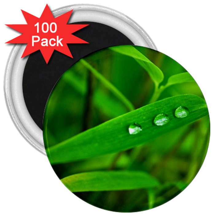 Bamboo Leaf With Drops 3  Button Magnet (100 pack)