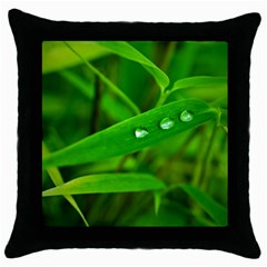 Bamboo Leaf With Drops Black Throw Pillow Case by Siebenhuehner