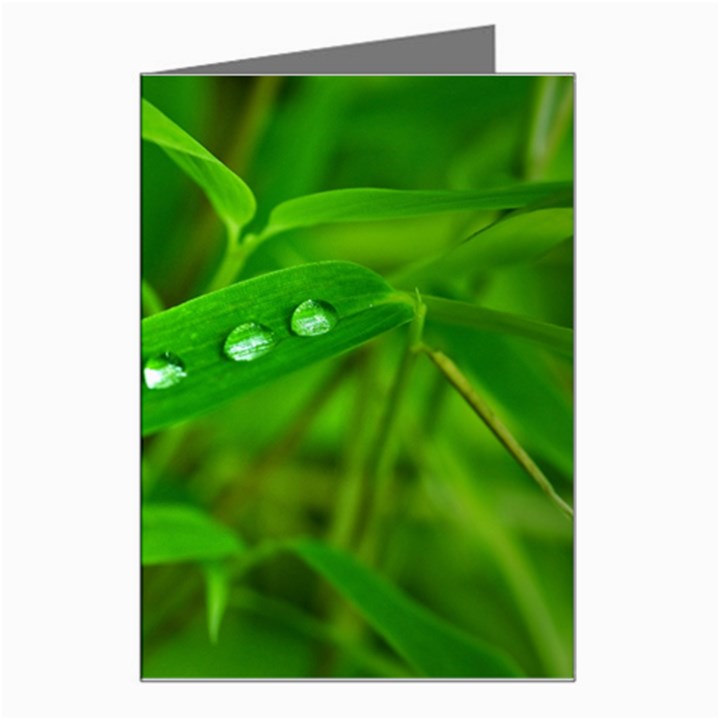 Bamboo Leaf With Drops Greeting Card