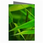 Bamboo Leaf With Drops Greeting Card Right