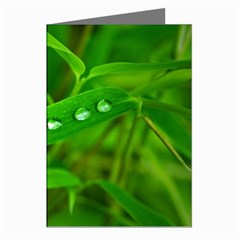 Bamboo Leaf With Drops Greeting Card (8 Pack) by Siebenhuehner