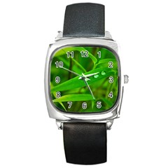 Bamboo Leaf With Drops Square Leather Watch by Siebenhuehner