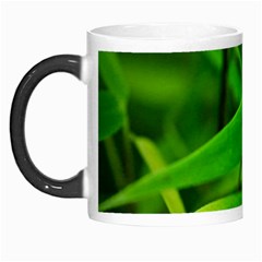 Bamboo Leaf With Drops Morph Mug by Siebenhuehner