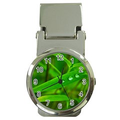 Bamboo Leaf With Drops Money Clip With Watch by Siebenhuehner