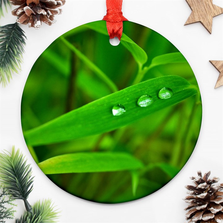 Bamboo Leaf With Drops Round Ornament (Two Sides)