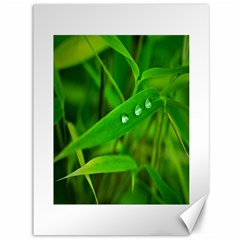 Bamboo Leaf With Drops Canvas 36  X 48  (unframed) by Siebenhuehner