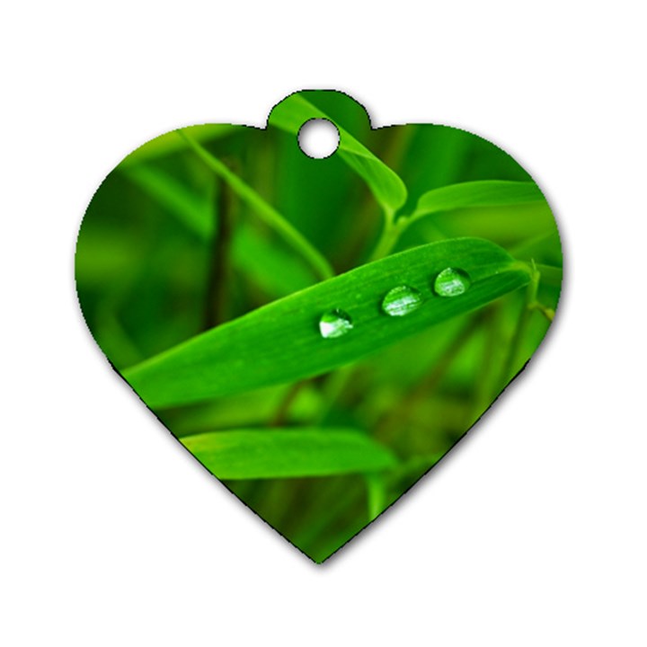 Bamboo Leaf With Drops Dog Tag Heart (One Sided) 