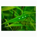 Bamboo Leaf With Drops Glasses Cloth (Large) Front